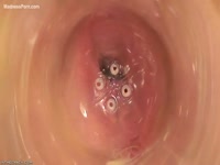 Adorable pregnant woman is having fun with her big pussy
